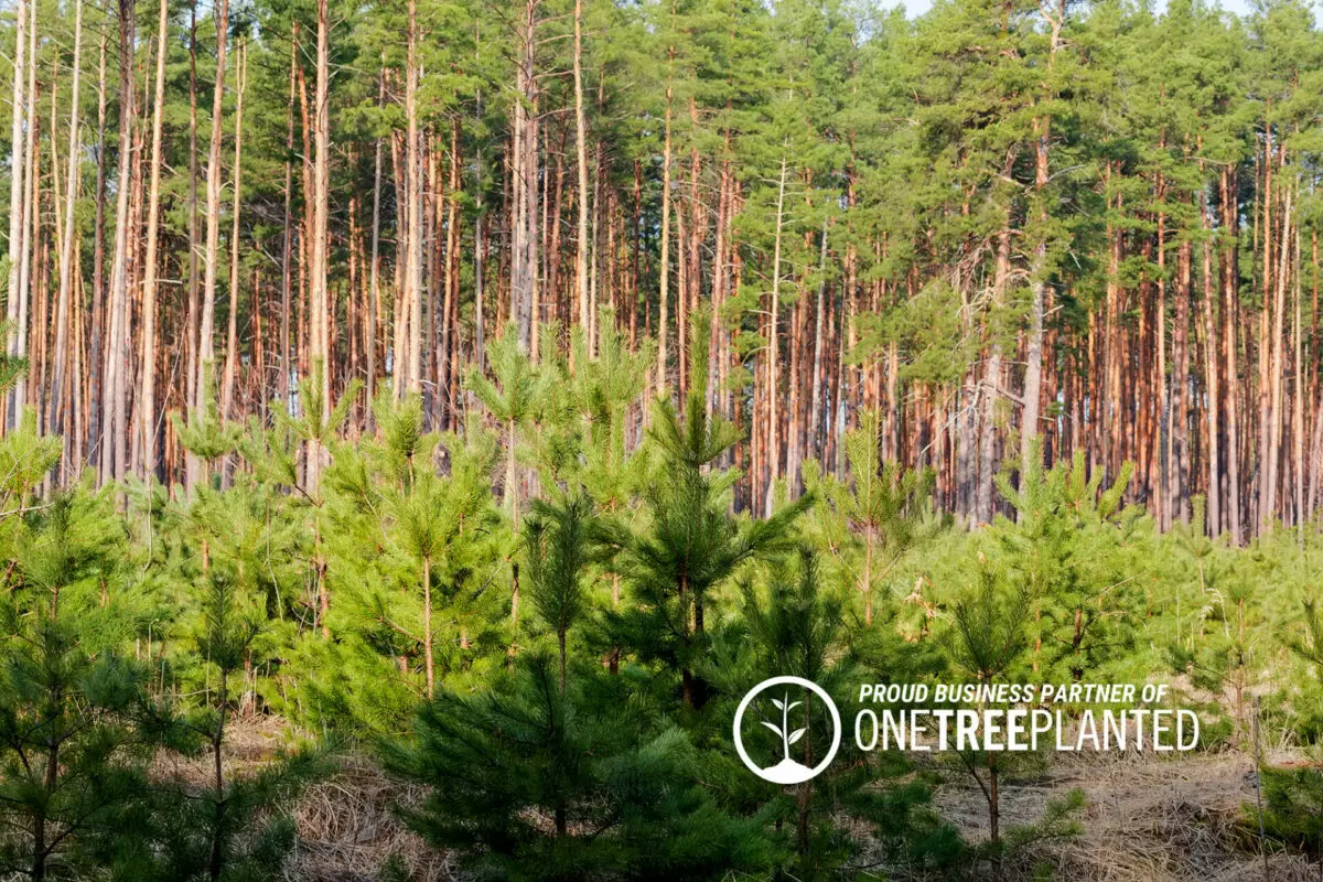 Proud business partner of One Tree Planted