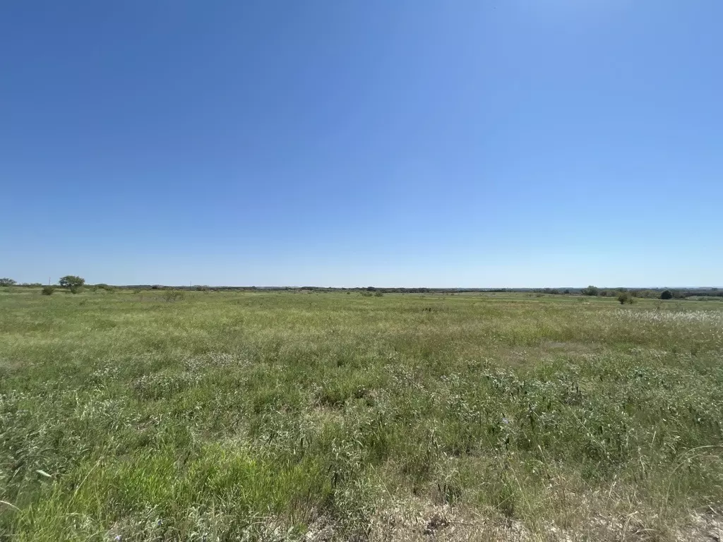 Rain Lily Solar Farm and Battery Storage project