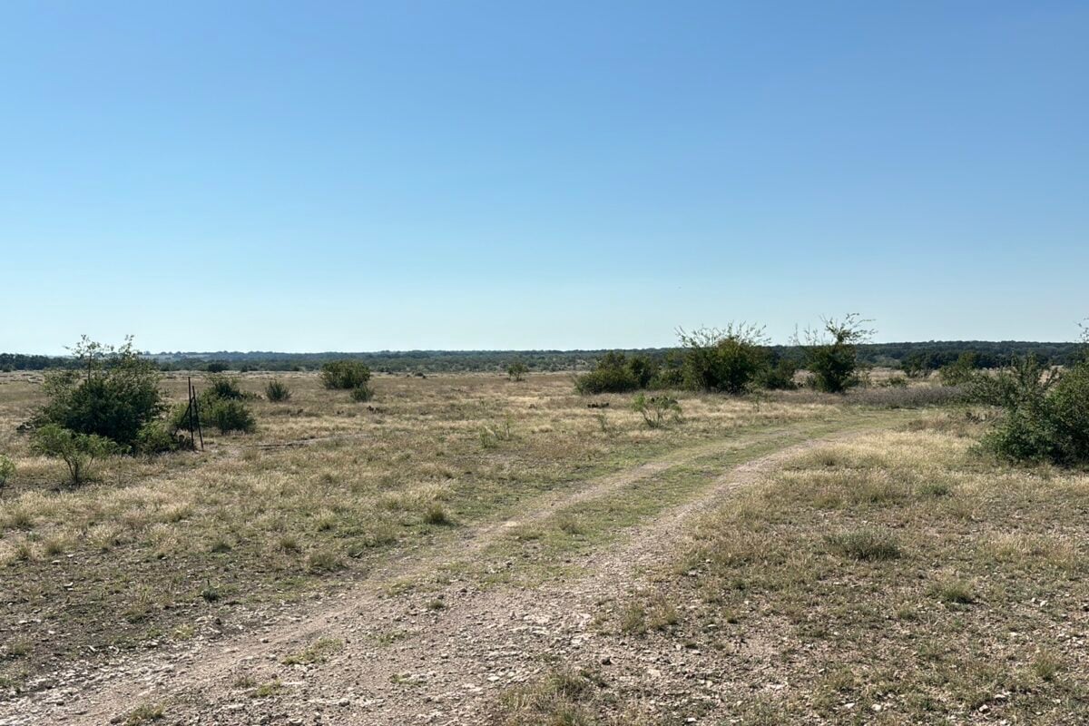 Cherry Sage Solar project